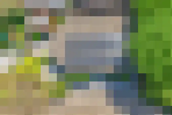 Eendrachtsdijk 2 a Zevenhuizen thumbnail 33
