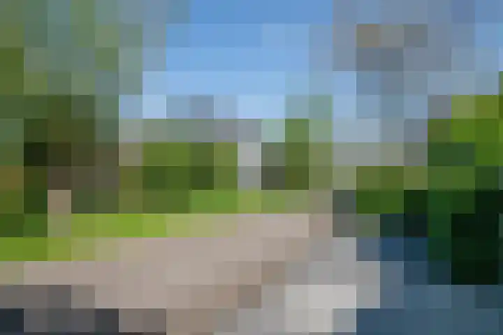 Eendrachtsdijk 2 a Zevenhuizen thumbnail 36