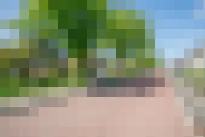 Eendrachtsdijk 2 a Zevenhuizen thumbnail 37