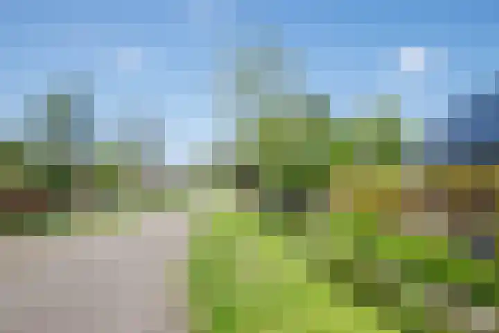 Eendrachtsdijk 2 a Zevenhuizen thumbnail 38