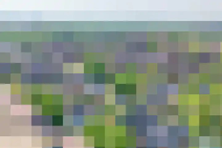 Eendrachtsdijk 2 a Zevenhuizen thumbnail 39