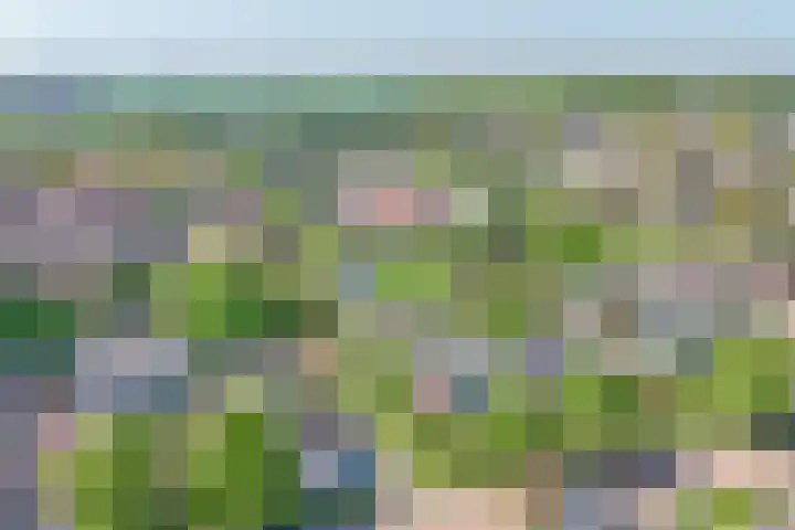 Eendrachtsdijk 2 a Zevenhuizen thumbnail 40