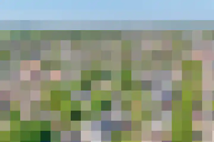 Eendrachtsdijk 2 a Zevenhuizen thumbnail 42