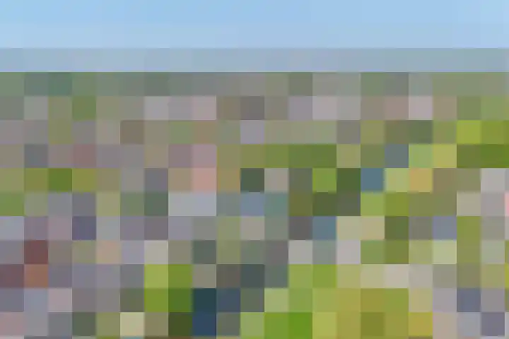 Eendrachtsdijk 2 a Zevenhuizen thumbnail 43