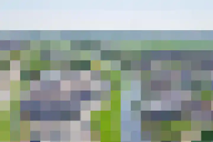 Eendrachtsdijk 2 a Zevenhuizen thumbnail 44