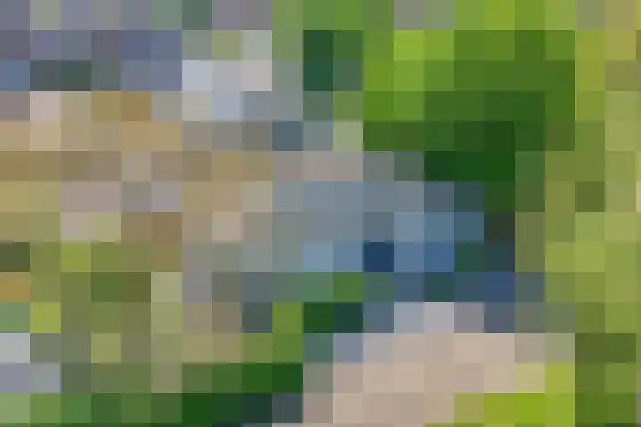 Eendrachtsdijk 2 a Zevenhuizen thumbnail 5