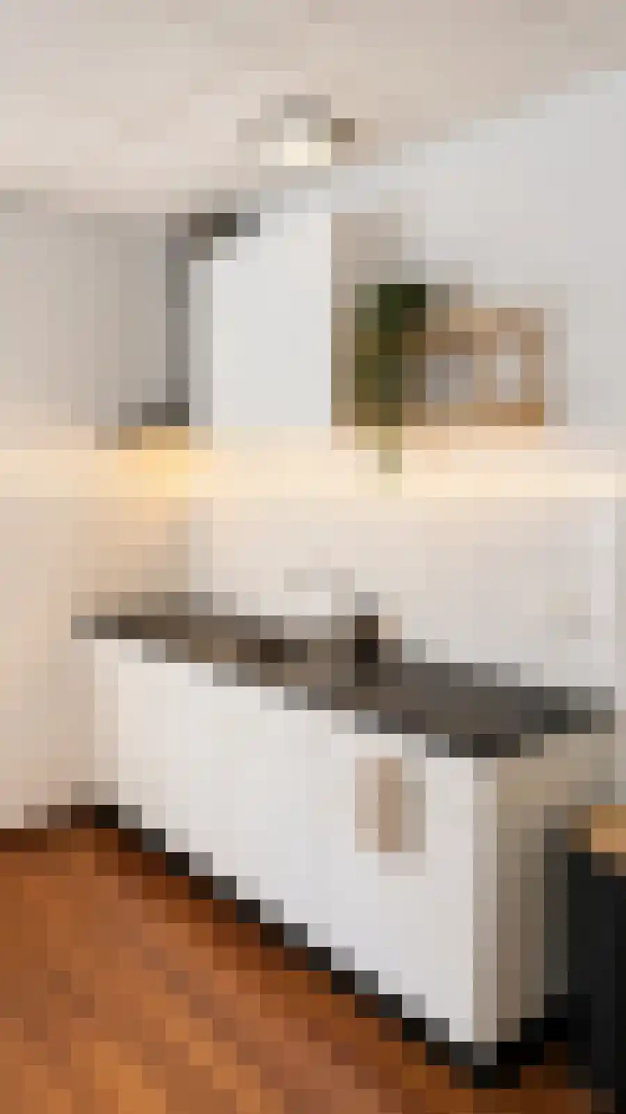 Eendrachtskade 13 3 Groningen thumbnail 4