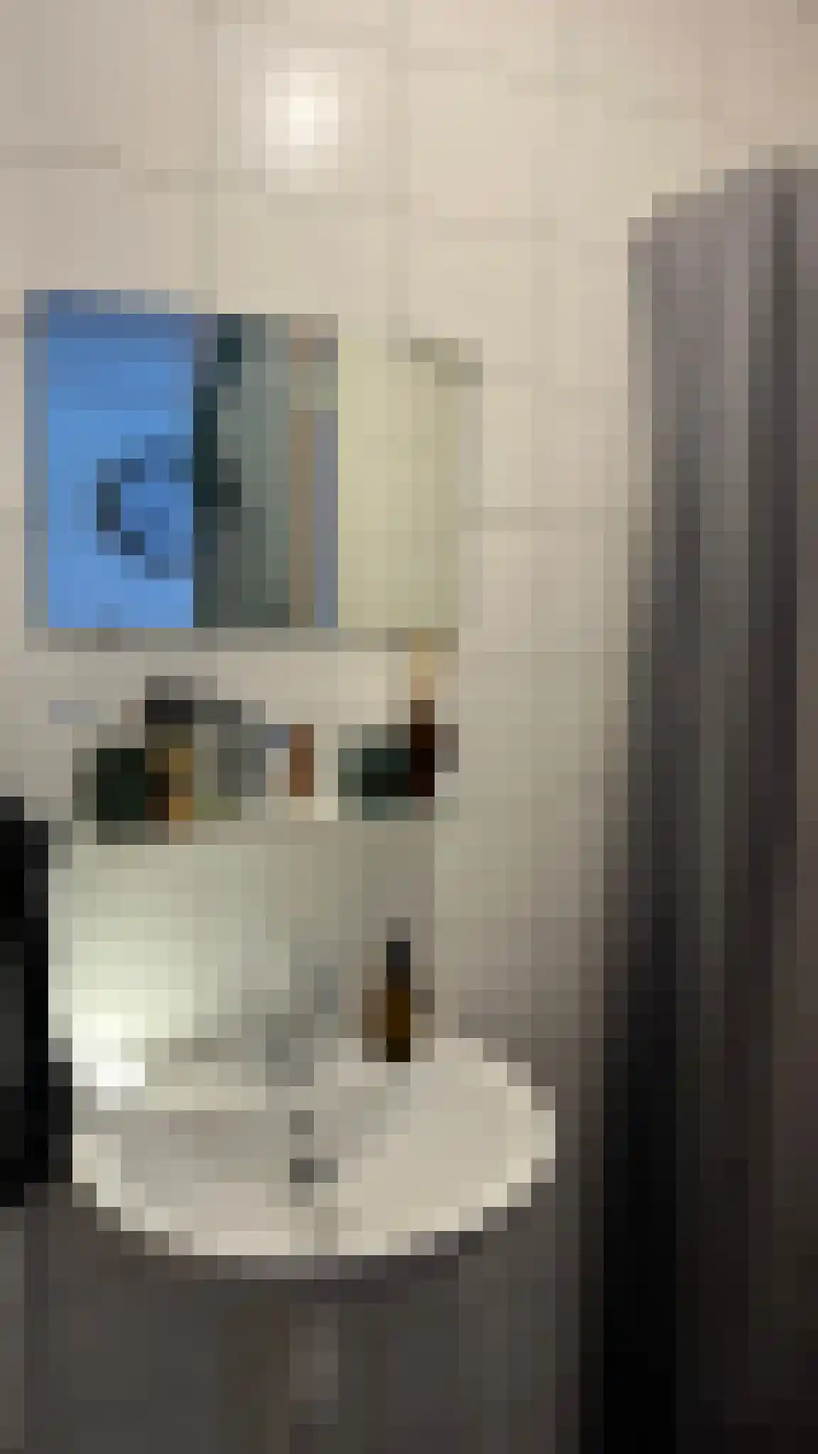 Eendrachtskade 13 3 Groningen thumbnail 5