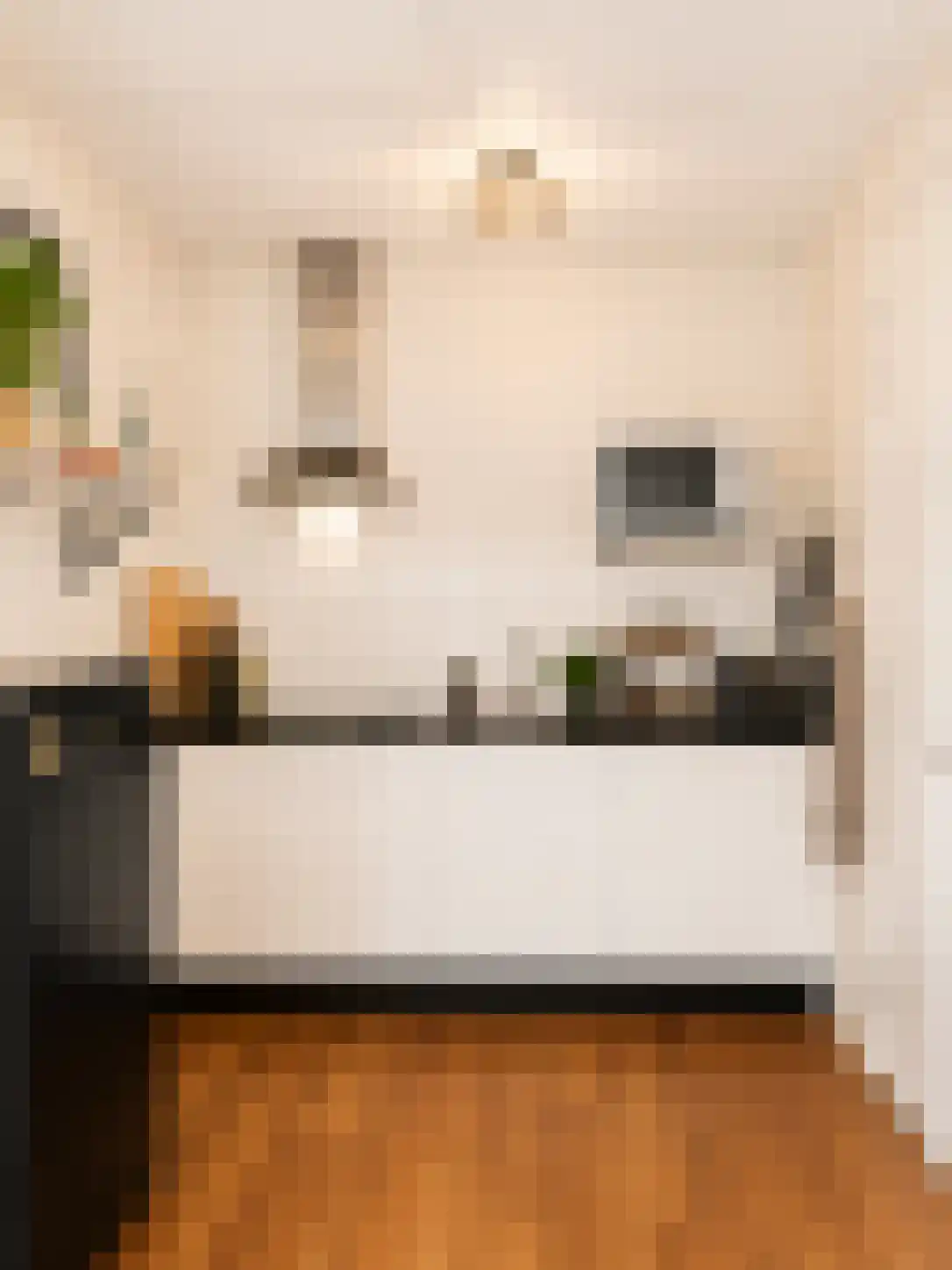 Eendrachtskade 13 7 Groningen thumbnail 5