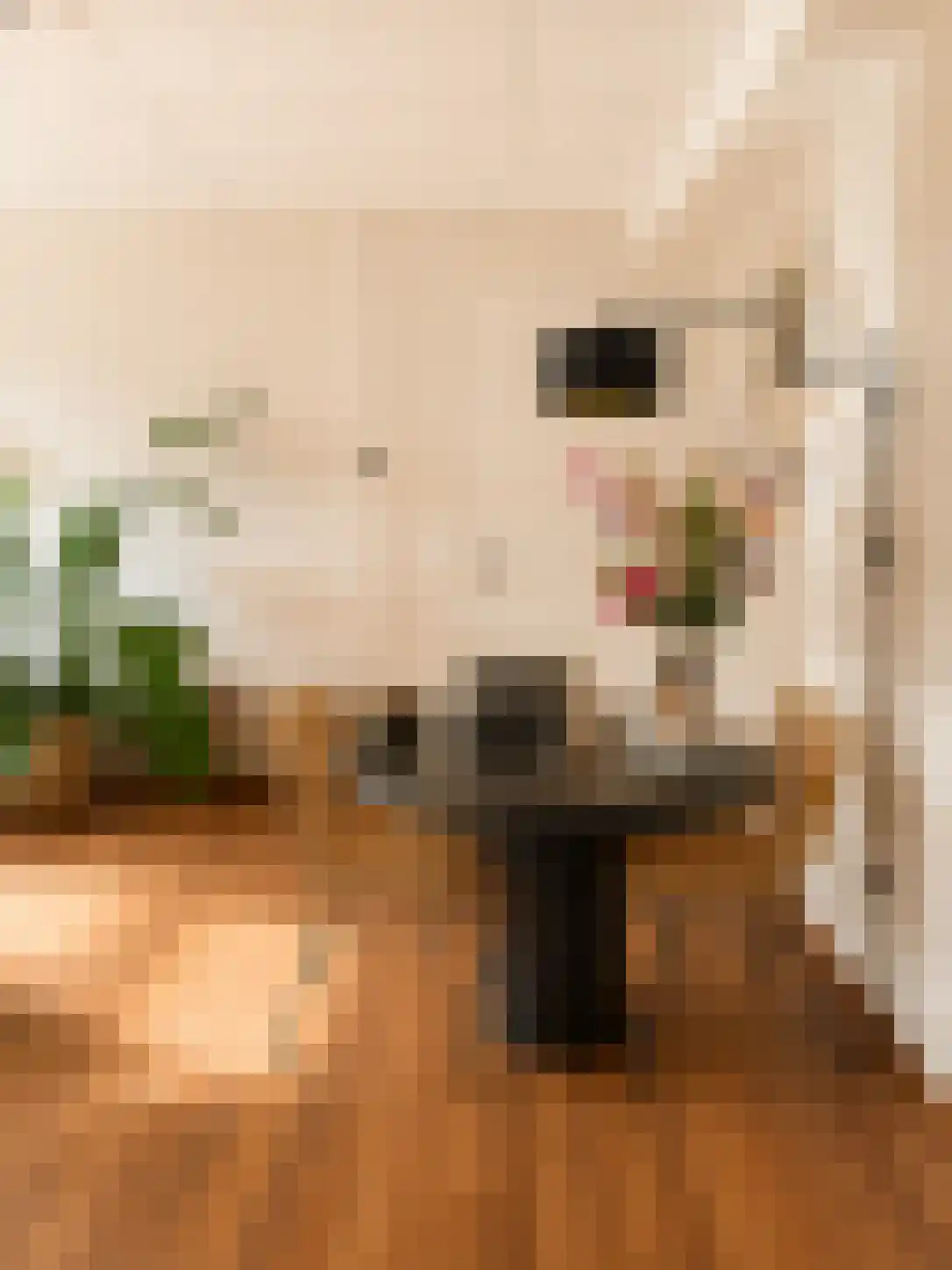 Eendrachtskade 13 7 Groningen thumbnail 6