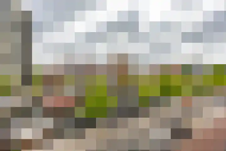Eendrachtskade 15 7 Groningen thumbnail 20