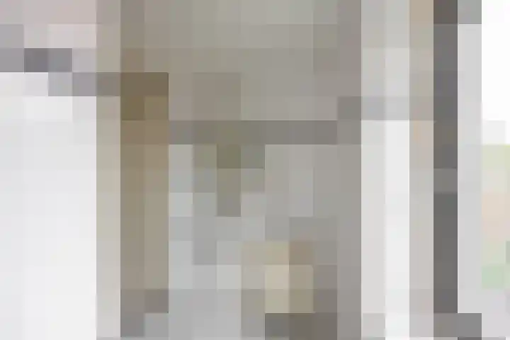 Eendrachtskade 15 7 Groningen thumbnail 30