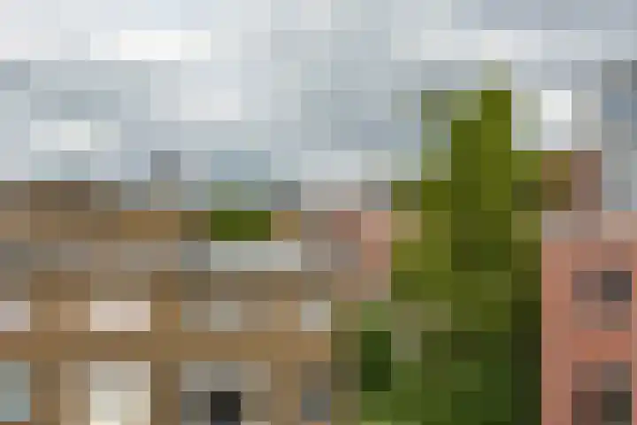 Eendrachtskade 15 7 Groningen thumbnail 40