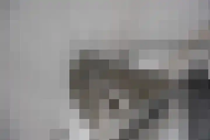 Eendrachtskade 15 7 Groningen thumbnail 44
