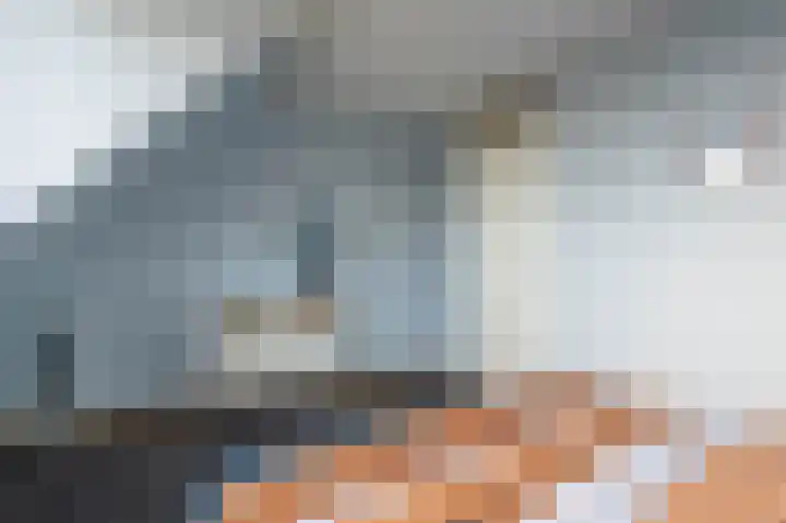 Eendrachtspad 5 Rijnsaterwoude thumbnail 14