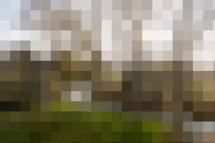 Eendrachtspad 5 Rijnsaterwoude thumbnail 18