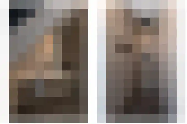 Eendrachtspad 5 Rijnsaterwoude thumbnail 21