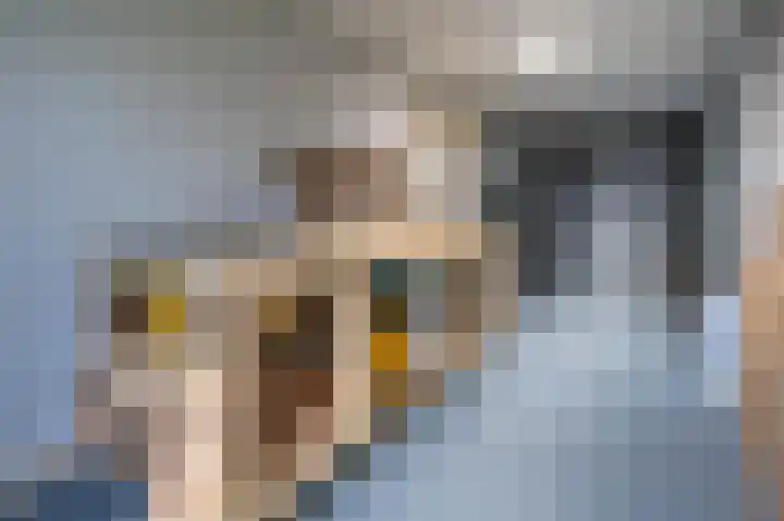Eendrachtspad 5 Rijnsaterwoude thumbnail 25