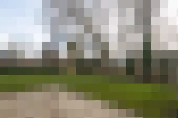 Eendrachtspad 5 Rijnsaterwoude thumbnail 26