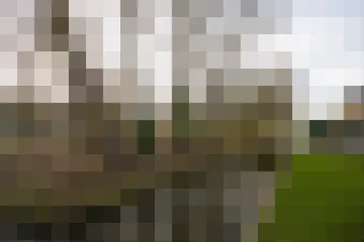 Eendrachtspad 5 Rijnsaterwoude thumbnail 28