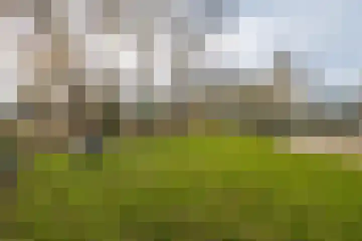 Eendrachtspad 5 Rijnsaterwoude thumbnail 29