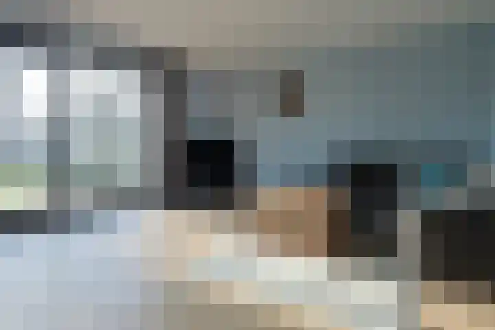 Eendrachtspad 5 Rijnsaterwoude foto 3