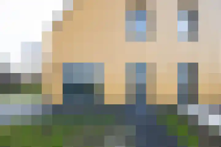 Eendrachtspad 5 Rijnsaterwoude thumbnail 32