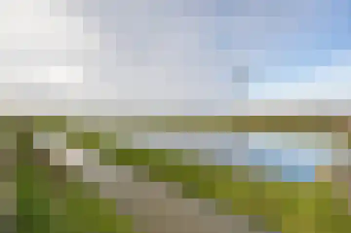 Eendrachtspad 5 Rijnsaterwoude thumbnail 33