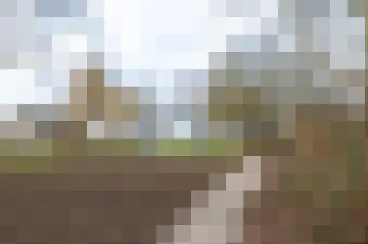 Eendrachtspad 5 Rijnsaterwoude thumbnail 34