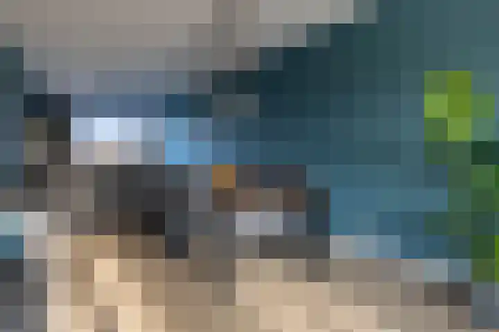 Eendrachtspad 5 Rijnsaterwoude thumbnail 4