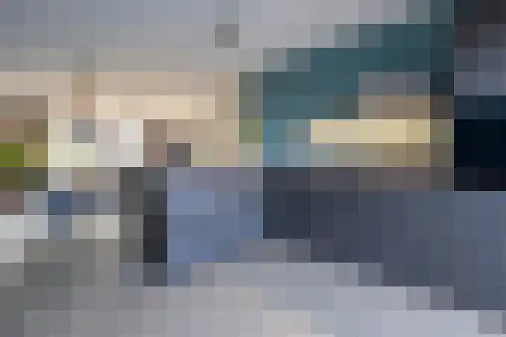 Eendrachtspad 5 Rijnsaterwoude thumbnail 9