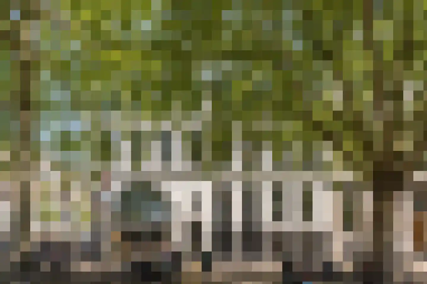 Eendrachtsplein 6 03 Rotterdam thumbnail 27