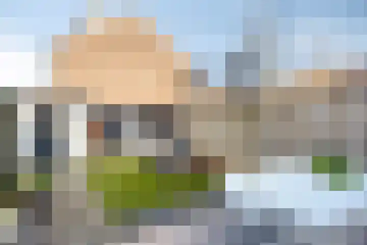 Eendrachtspolder 23 's-Hertogenbosch thumbnail 27