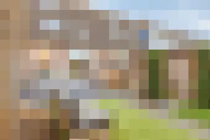 Eendrachtspolder 23 's-Hertogenbosch thumbnail 29
