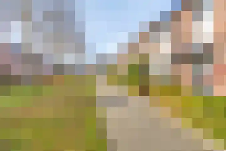 Eendrachtspolder 23 's-Hertogenbosch thumbnail 32