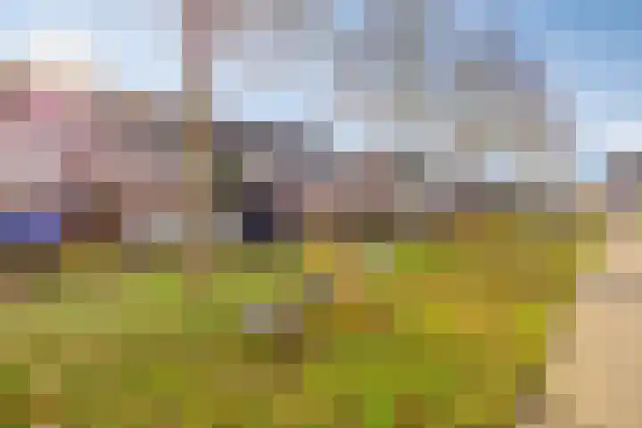 Eendrachtspolder 23 's-Hertogenbosch thumbnail 33