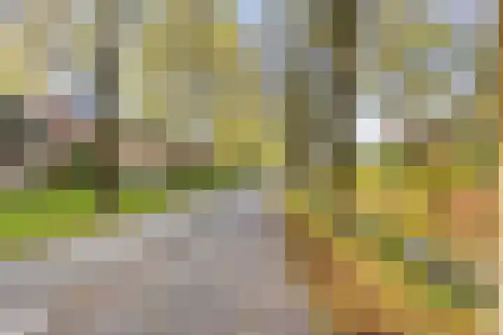 Eendrachtspolder 23 's-Hertogenbosch thumbnail 35