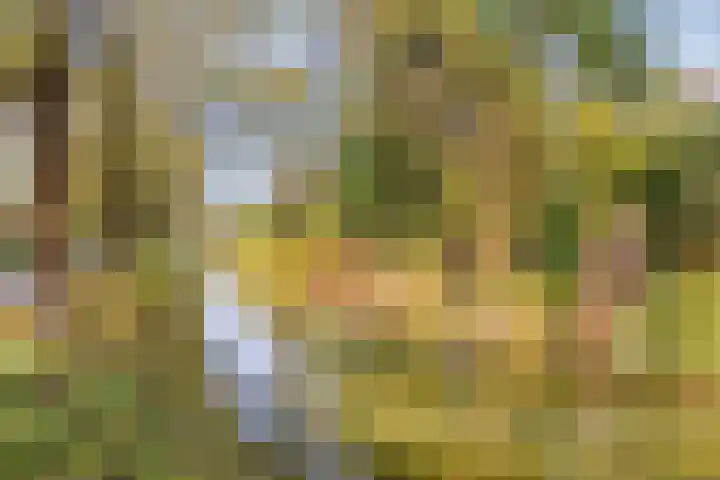 Eendrachtspolder 23 's-Hertogenbosch thumbnail 36