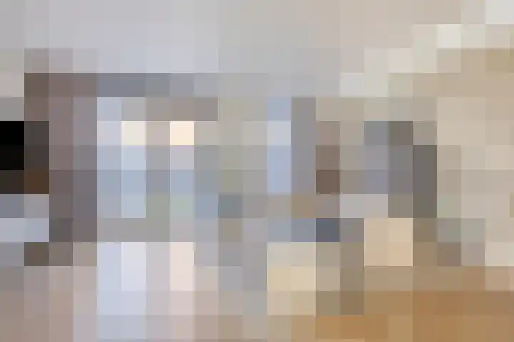 Eendrachtspolder 23 's-Hertogenbosch thumbnail 5