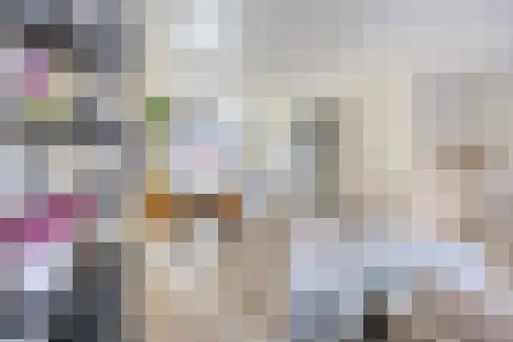 Eendrachtspolder 23 's-Hertogenbosch thumbnail 7