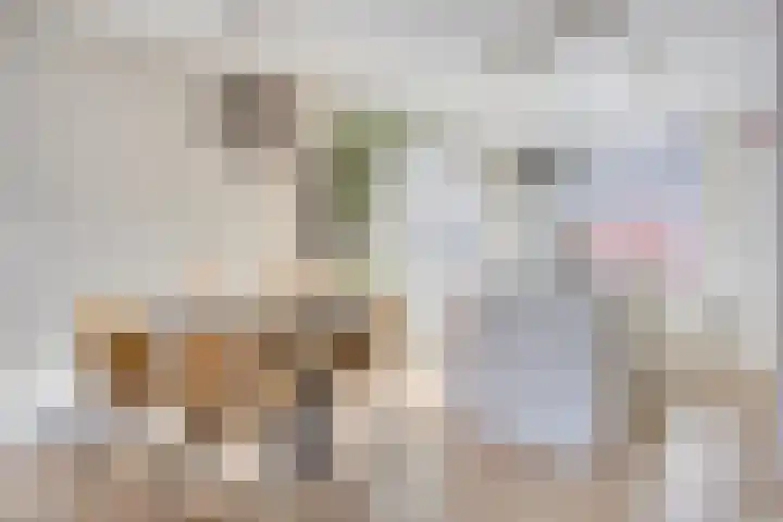 Eendrachtspolder 23 's-Hertogenbosch thumbnail 8