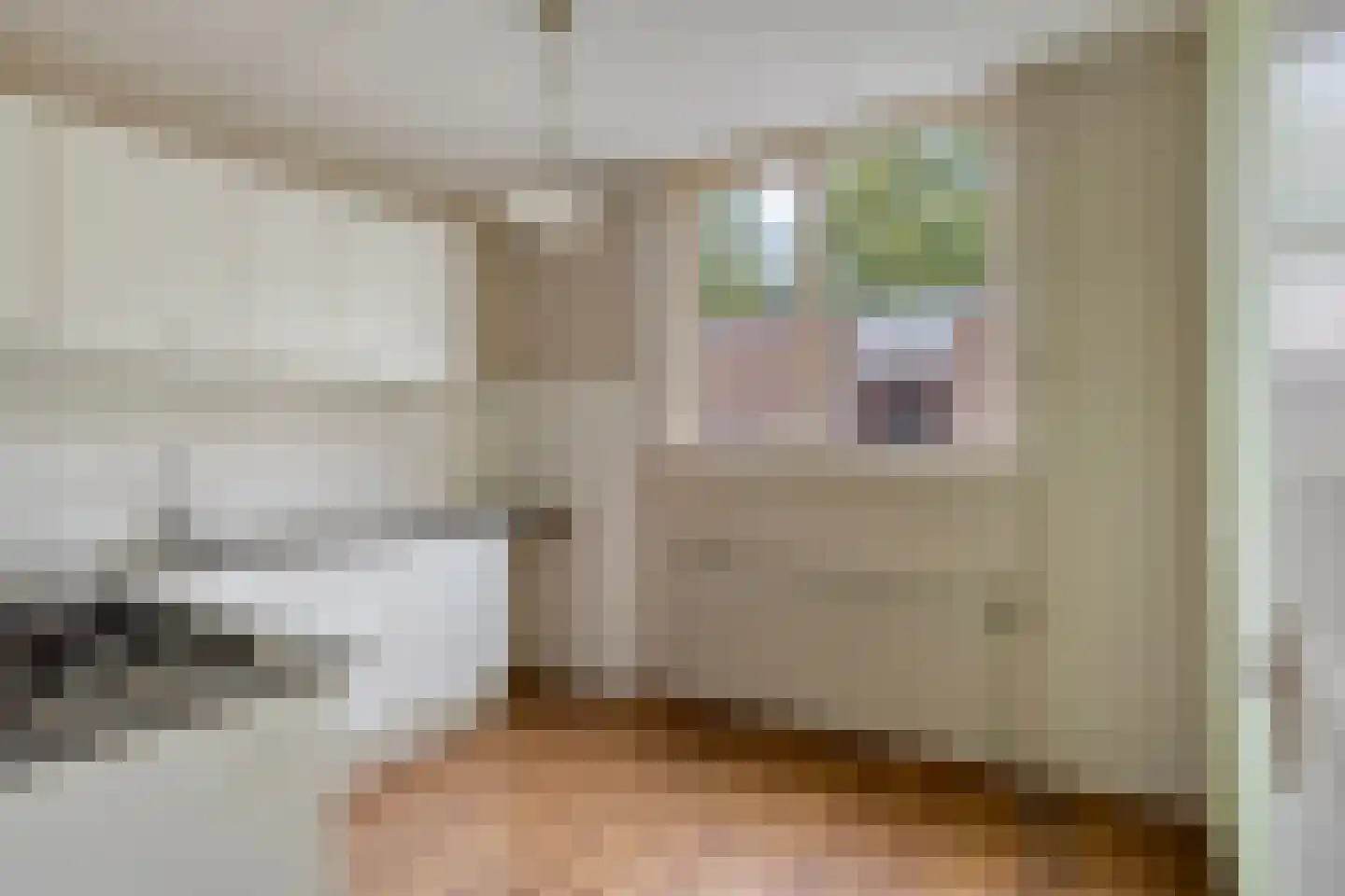 Eendrachtspolder 28 's-Hertogenbosch thumbnail 11