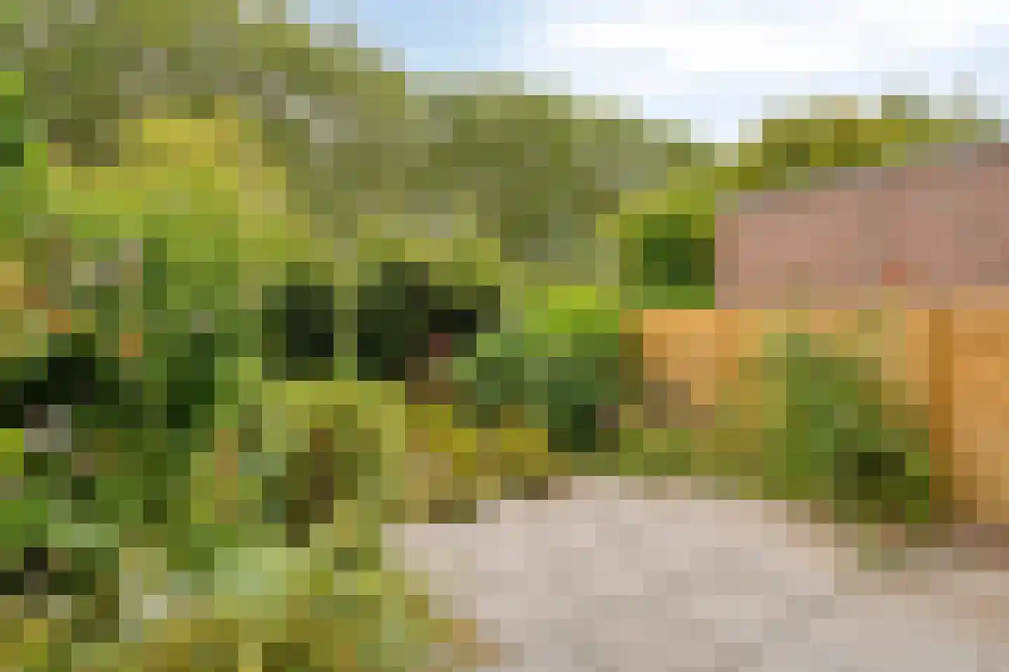 Eendrachtspolder 28 's-Hertogenbosch thumbnail 24