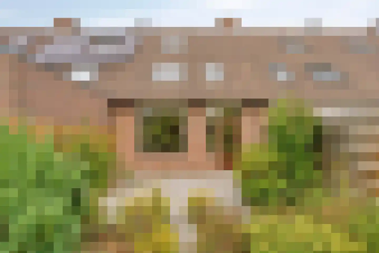 Eendrachtspolder 28 's-Hertogenbosch thumbnail 26