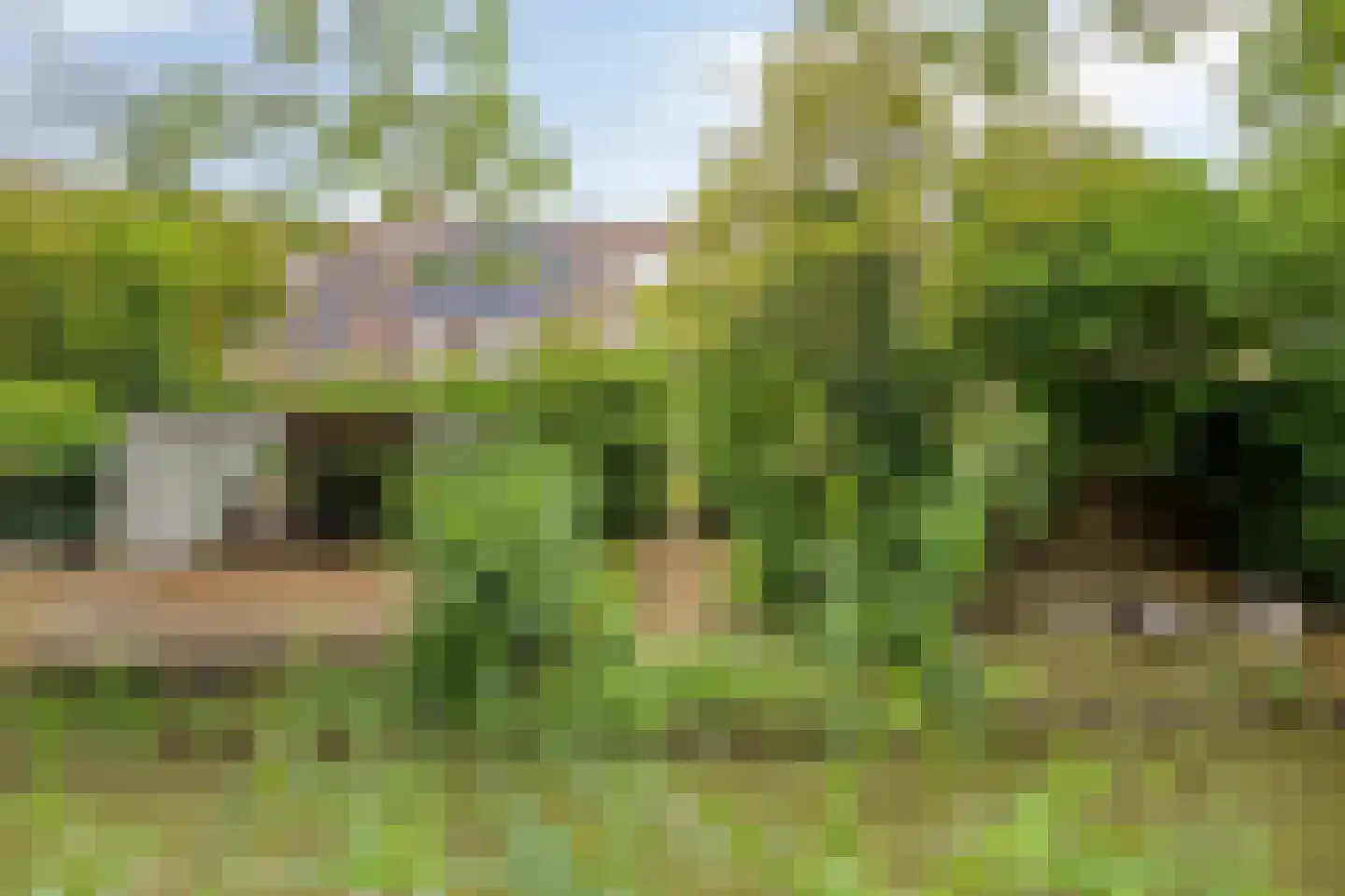 Eendrachtspolder 28 's-Hertogenbosch thumbnail 27