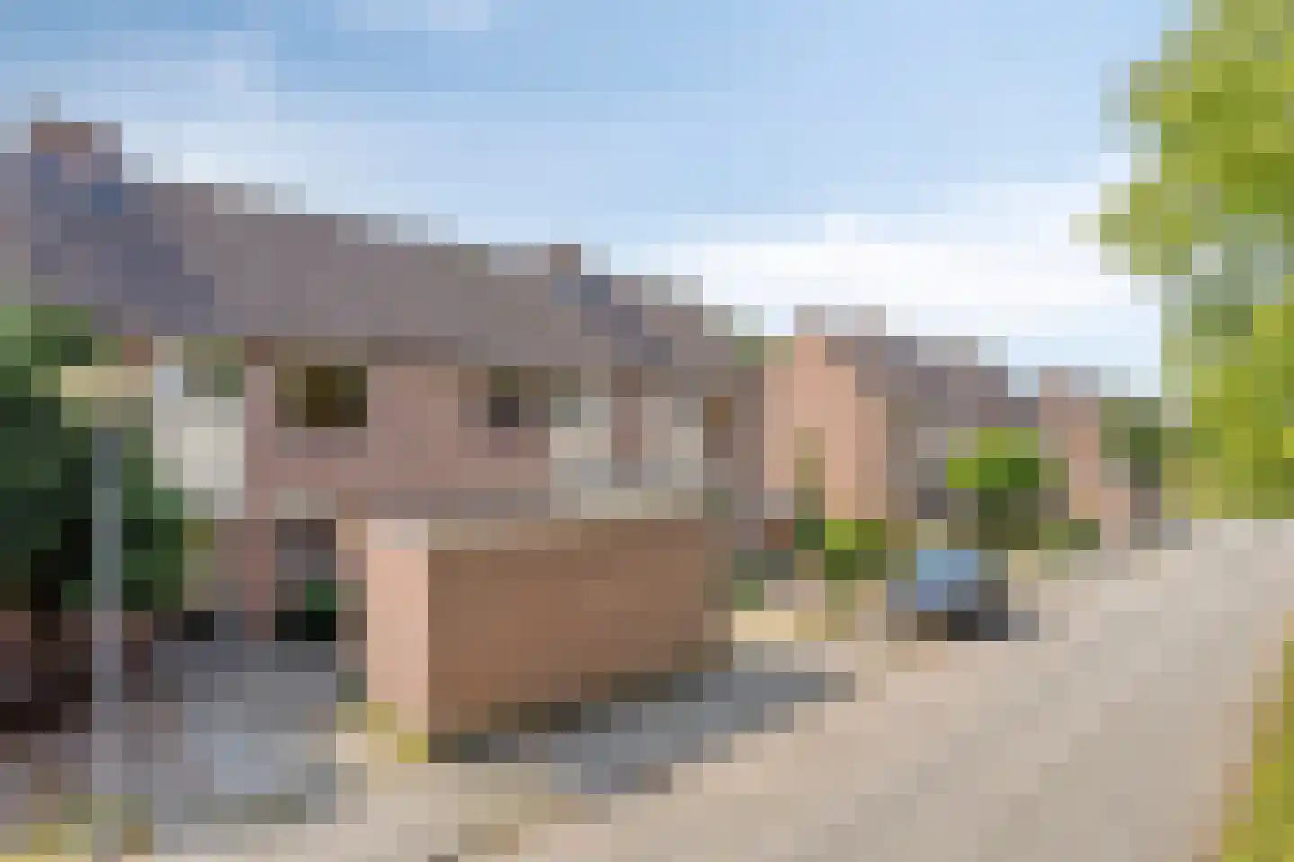 Eendrachtspolder 28 's-Hertogenbosch thumbnail 30