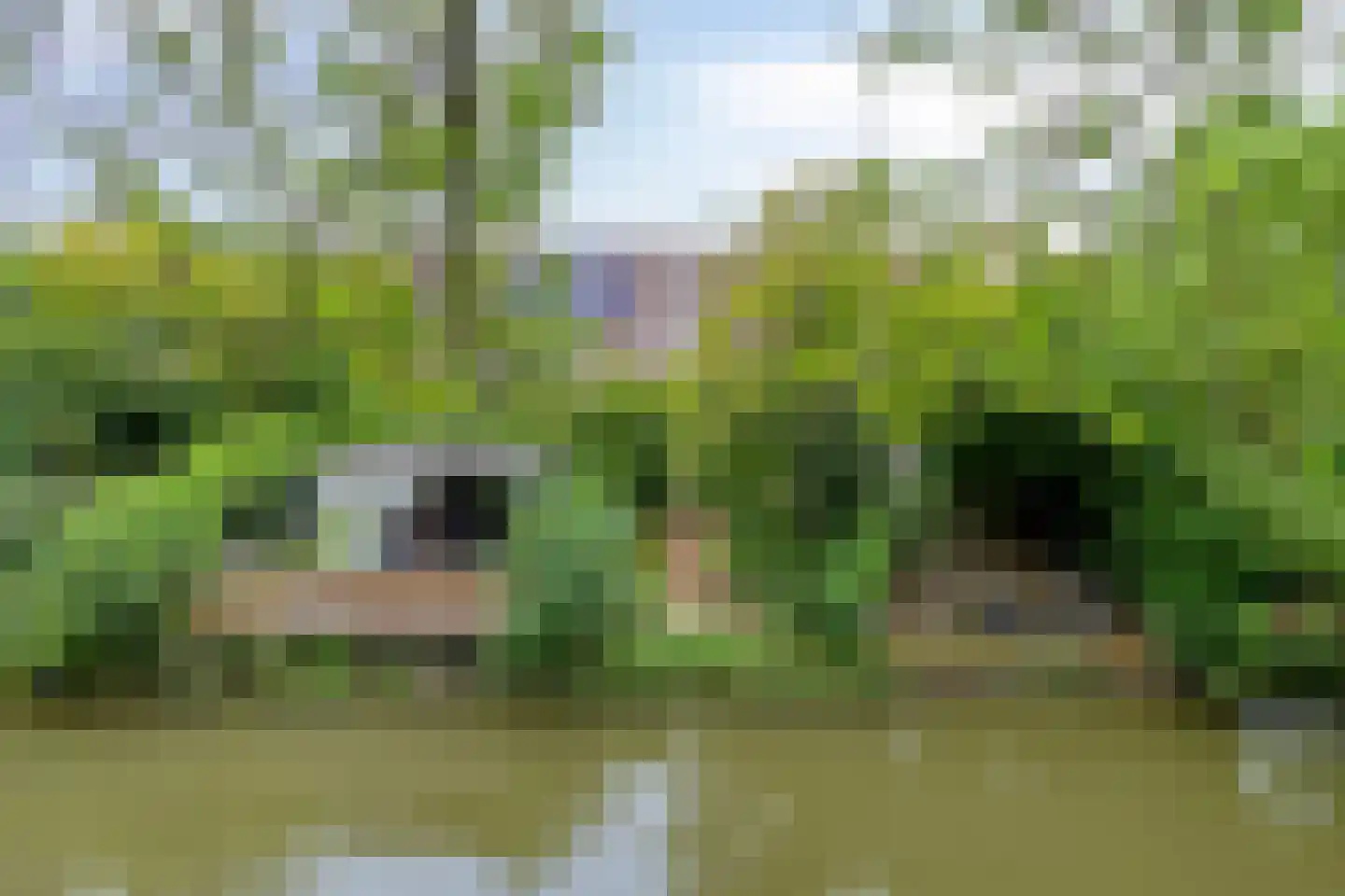 Eendrachtspolder 28 's-Hertogenbosch thumbnail 5