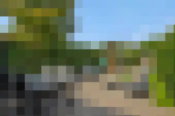 Eendrachtspolder 41 's-Hertogenbosch thumbnail 24