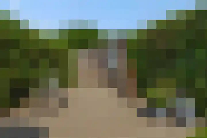 Eendrachtspolder 41 's-Hertogenbosch thumbnail 27