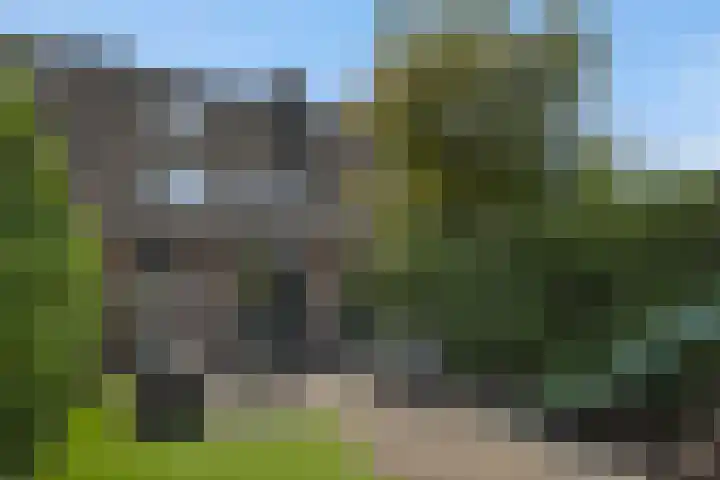 Eendrachtspolder 41 's-Hertogenbosch thumbnail 29